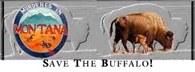Buffalo Nations