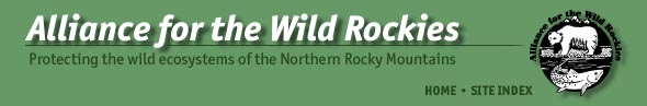 Alliance for the Wild Rockies